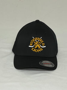 Flex Fit Fitted Lions Hat