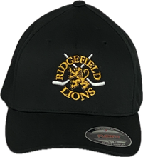 Flex Fit Fitted Lions Hat